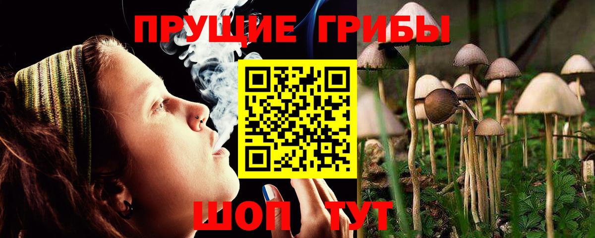 Псилоцибиновые грибы ЛСД Кирово-Чепецк