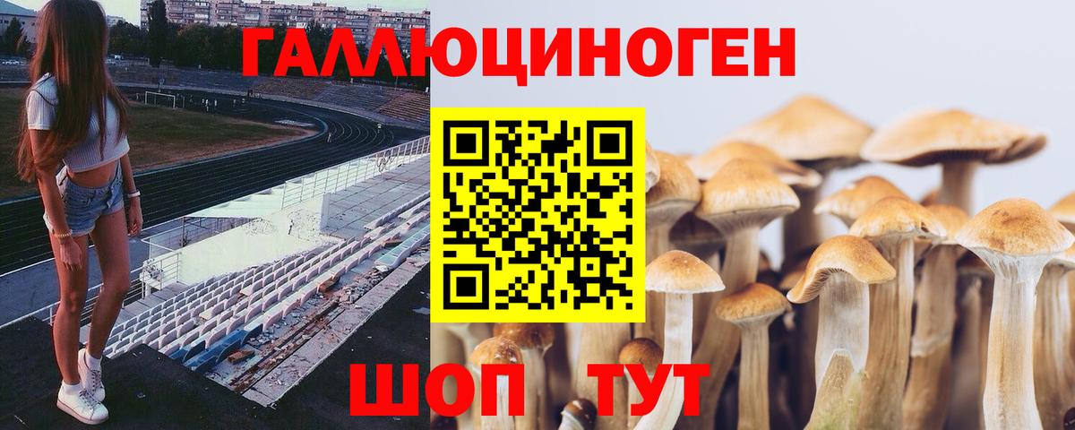 Псилоцибиновые грибы мухоморы  Вход с VPN  Кирово-Чепецк 